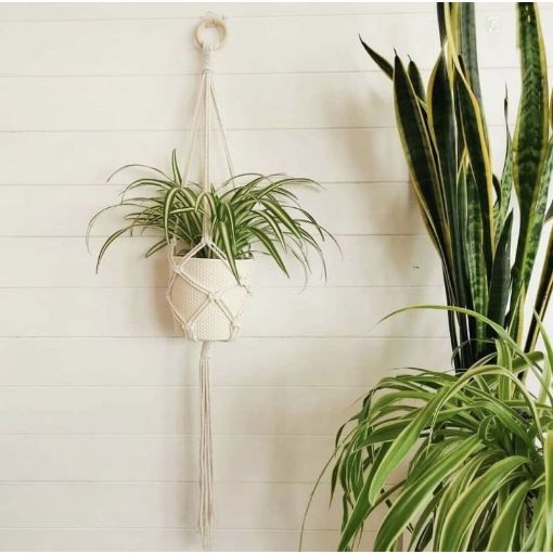 Picture of Les Chapineries Petite Fleur DIY Kit - Macreame Plant Hanger