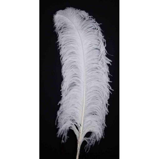 Picture of Rayher Ostrich's Feathers- white