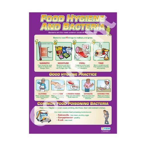 Picture of Food Hygiene & Bacteria Wallchart
