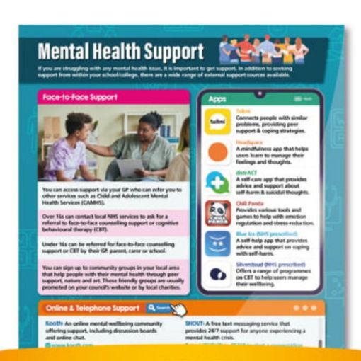 Picture of Mental Health Support Wallchart (UK Version)