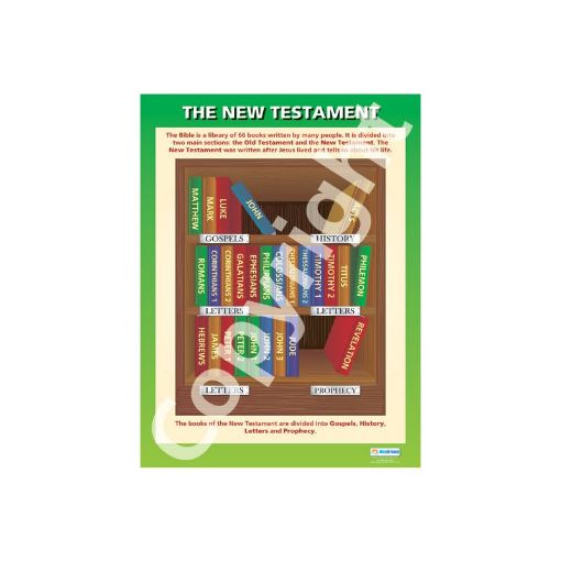 Picture of New Testament Wallchart