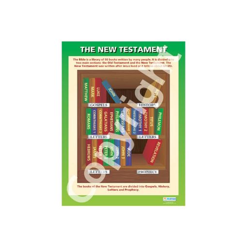 Picture of DD WC New Testament - Del