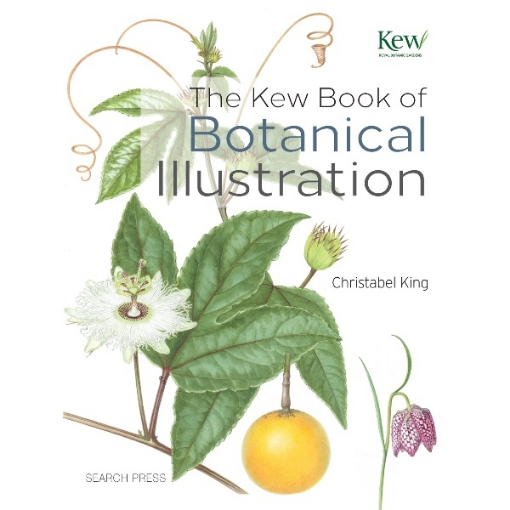 Picture of The Kew Book of Botanical Illustration HB