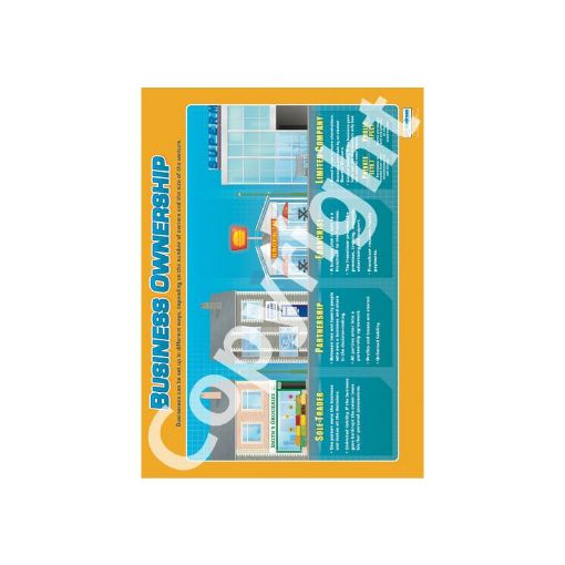 Picture of Business Ownership Laminated Wallchart