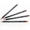Picture of Derwent Tinted Charcoal Pencil Range