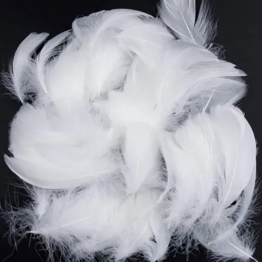 Picture of Rayher Decorative Feathers White