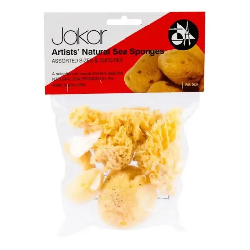 Picture of Artist's Natural Sea Sponges Assorted Sizes & Textures