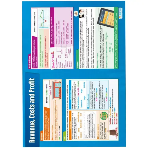 Picture of Revenue, Cost and Profit Laminated Wallchart