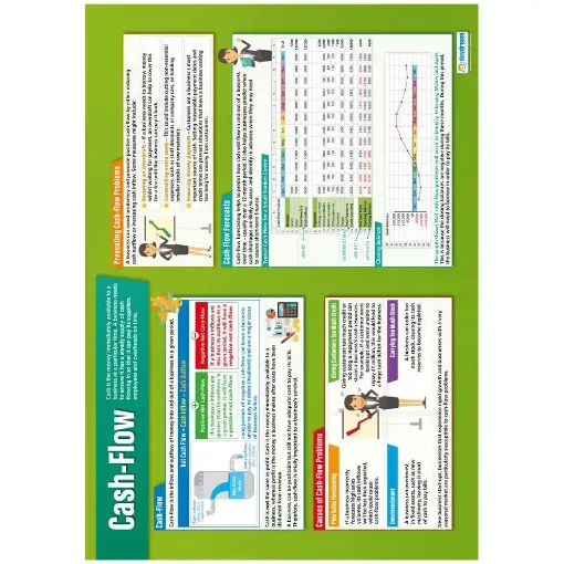 Picture of Cash Flow Laminated Wallchart