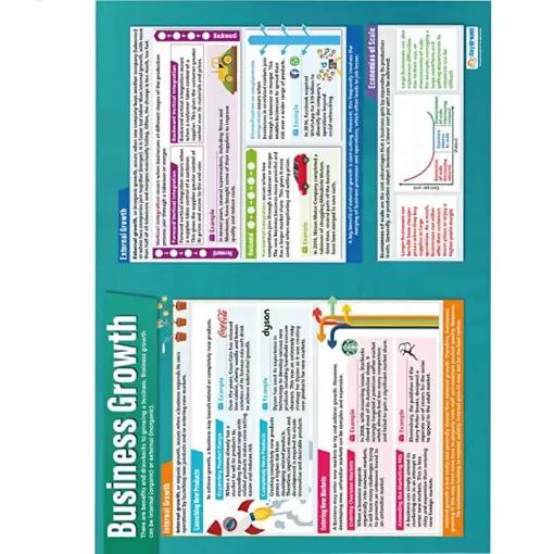 Picture of Business Growth Laminated Wallchart