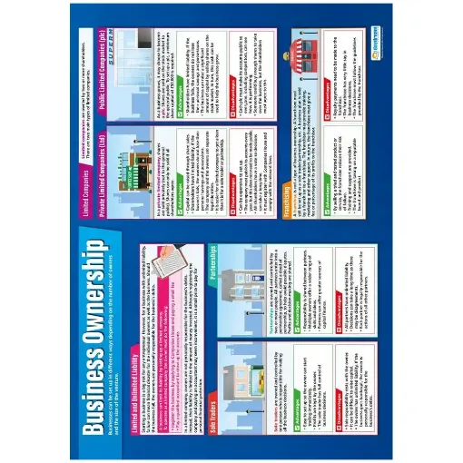 Picture of Business Ownership Laminated Wallchart