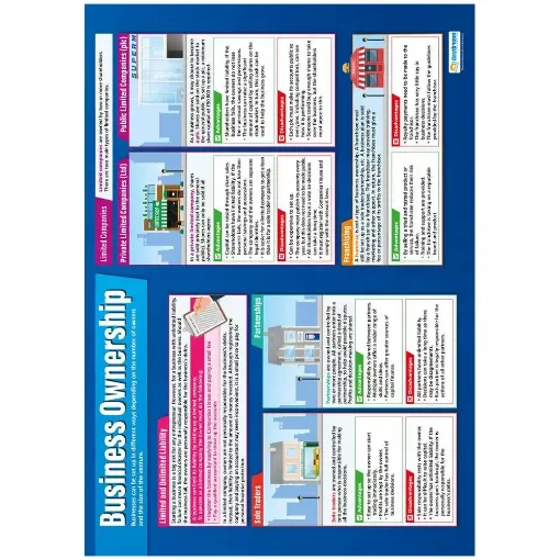 Picture of Business Ownership Gloss Daydream Wallchart