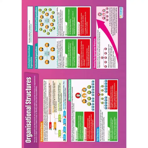 Picture of Organisation Structure Laminated Wallchart