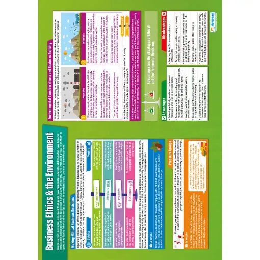 Picture of Business Ethics and the Environment Laminated Wallchart