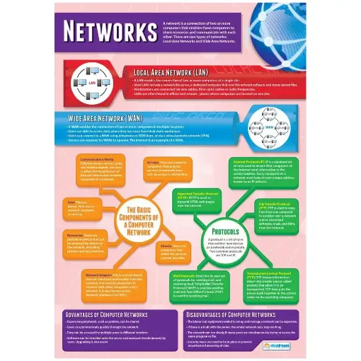 Picture of Networks Laminated Wallchart