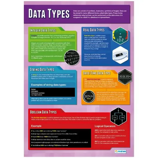 Picture of Data Types - Laminated Wallchart