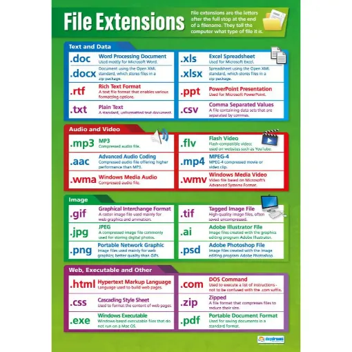 Picture of File Extensions Laminated Wallchart