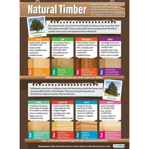 Picture of Natural Timber Wallchart