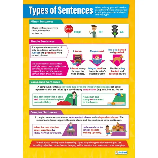 Types of Sentences Laminated WallchartSG Education