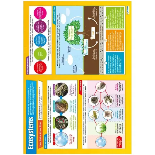 Picture of Ecosystems Laminated Wallchart