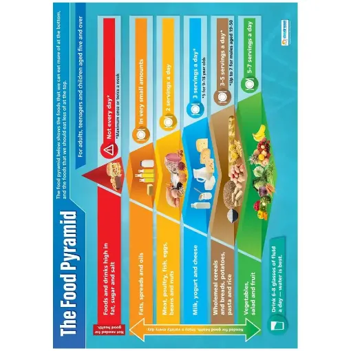 Picture of The Food Pyramid Laminated Wallchart