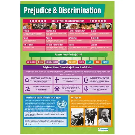 Picture of Prejudice & Discrimination Laminated Wallchart