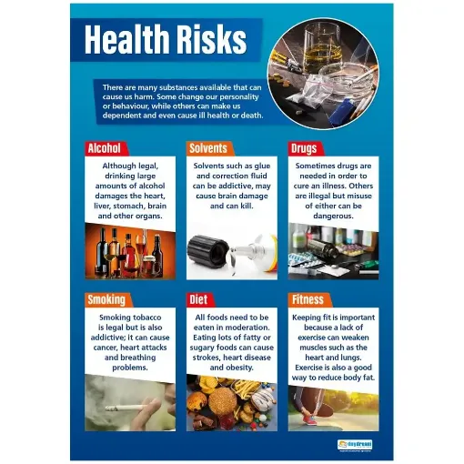 Picture of Health Risks Laminated Wallchart