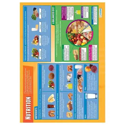 Picture of Nutrition Wallchart