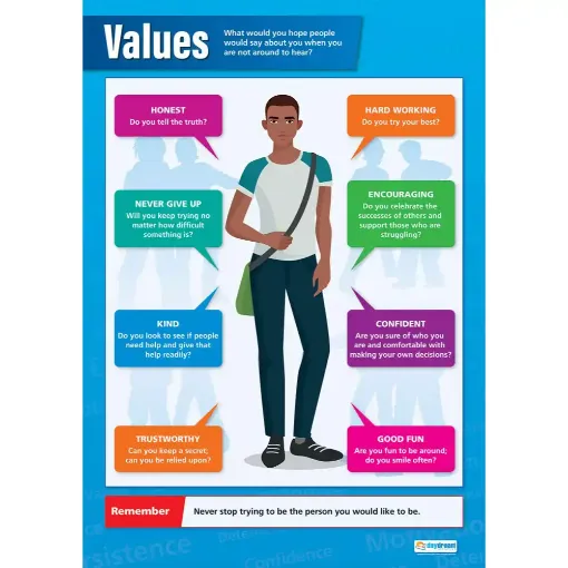 Picture of Values Laminated Wall Chart