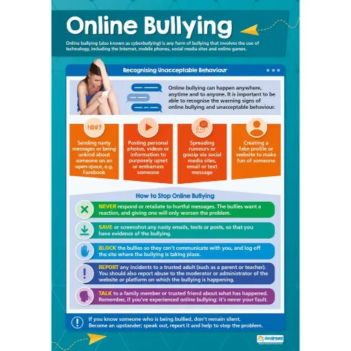 Picture of Online Bullying Laminated Wallchart
