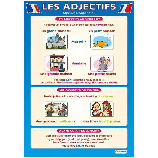 Picture of Les Adjectifs Wallchart