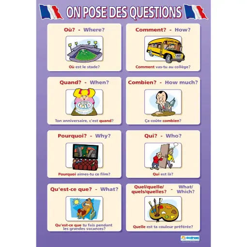 Picture of On Pose Des Questions Laminated Wallchart
