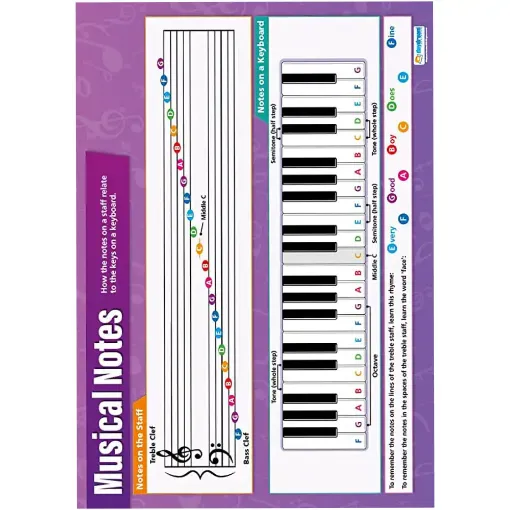Picture of Musical Notes Laminated Wallchart