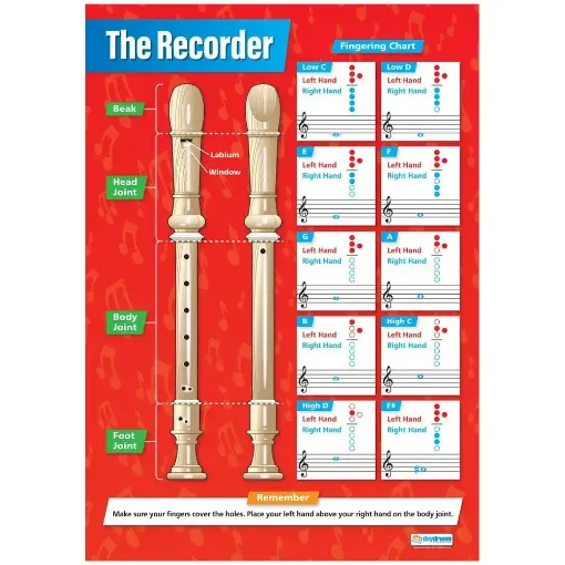 Picture of Recorder Daydream Wallchart