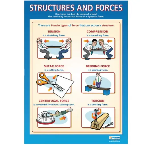 Picture of Structures and Forces Wallchart