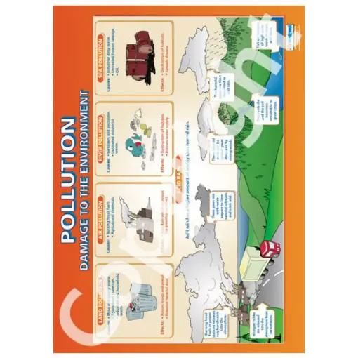 Picture of Pollution Wallchart