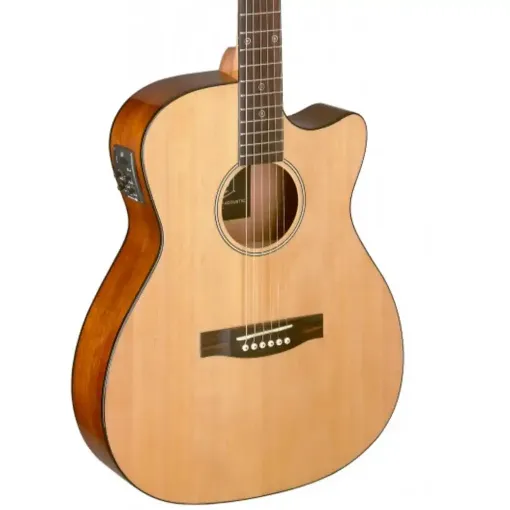 Picture of Stagg Electric Acoustic 