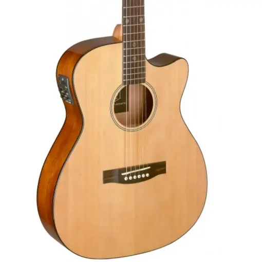 Picture of Stagg Electric Acoustic