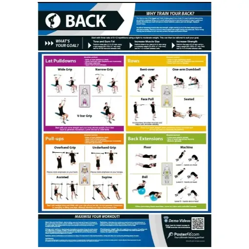 Picture of Back Exercises Laminated Wallchart