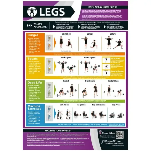 Picture of Legs Exercise Laminated Wallchart