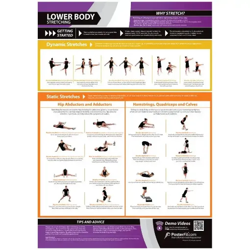Picture of Lower Body Stetching Exercise Laminated Wallchart