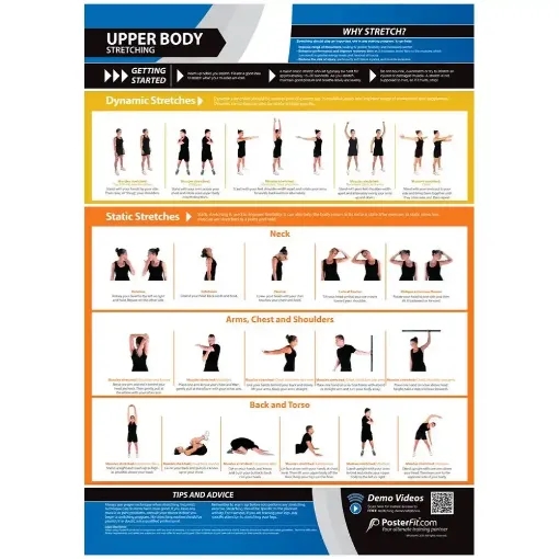 Picture of Upper Body Stretching Laminated Wallchart