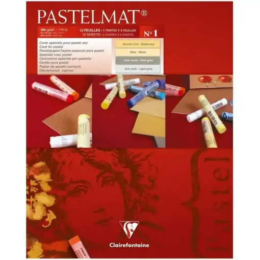 Picture of Clairefontaine Pastelmat Pad 24x30cm 360g 12 Sheets