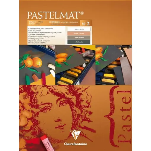 Picture of Clairefontaine Pastelmat pad 12 sht 360g 30x40cm DNR
