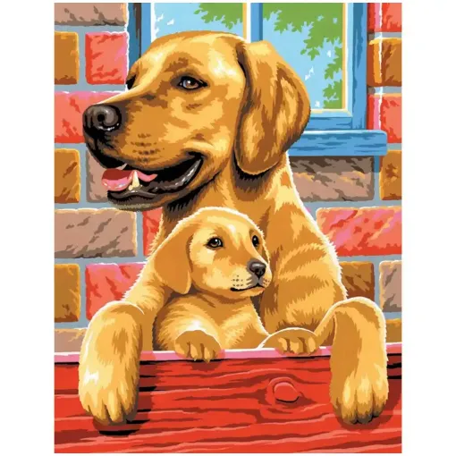 Picture of Painting by Numbers Twin Pack Dogs 