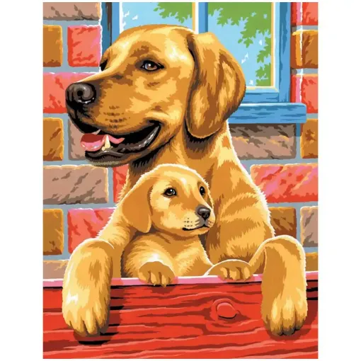 Picture of Painting by Numbers  Dogs Twin Pack
