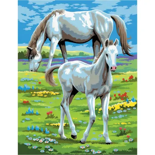 Picture of Painting by Numbers Twin Pack Horses