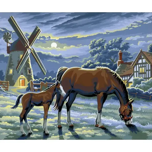 Picture of Painting by Numbers Large  Evening Pasture 