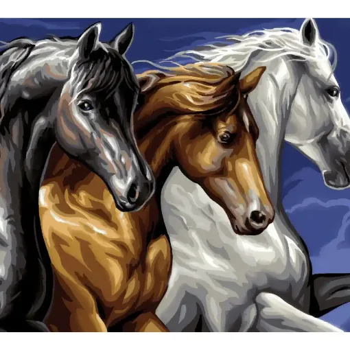 Picture of Large Painting by Numbers Wild Horses