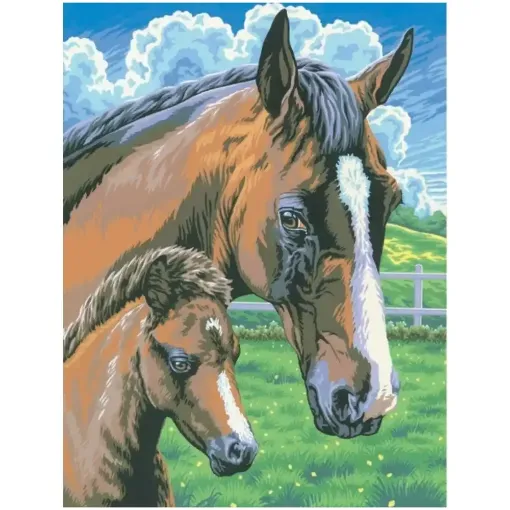 Picture of Medium Painting by Numbers Horse and Foal